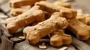 hausgemachte Kokos-Haferflocken-Hundeleckerlis