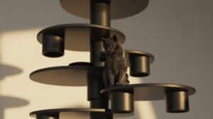 eleganter schwarzer Kratzbaumfür Katzen