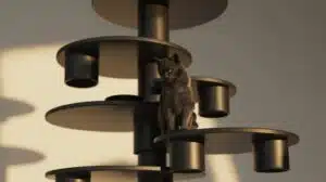 eleganter schwarzer Kratzbaumfür Katzen