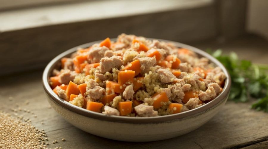 Truthahn- und Quinoa-Katzenfutter
